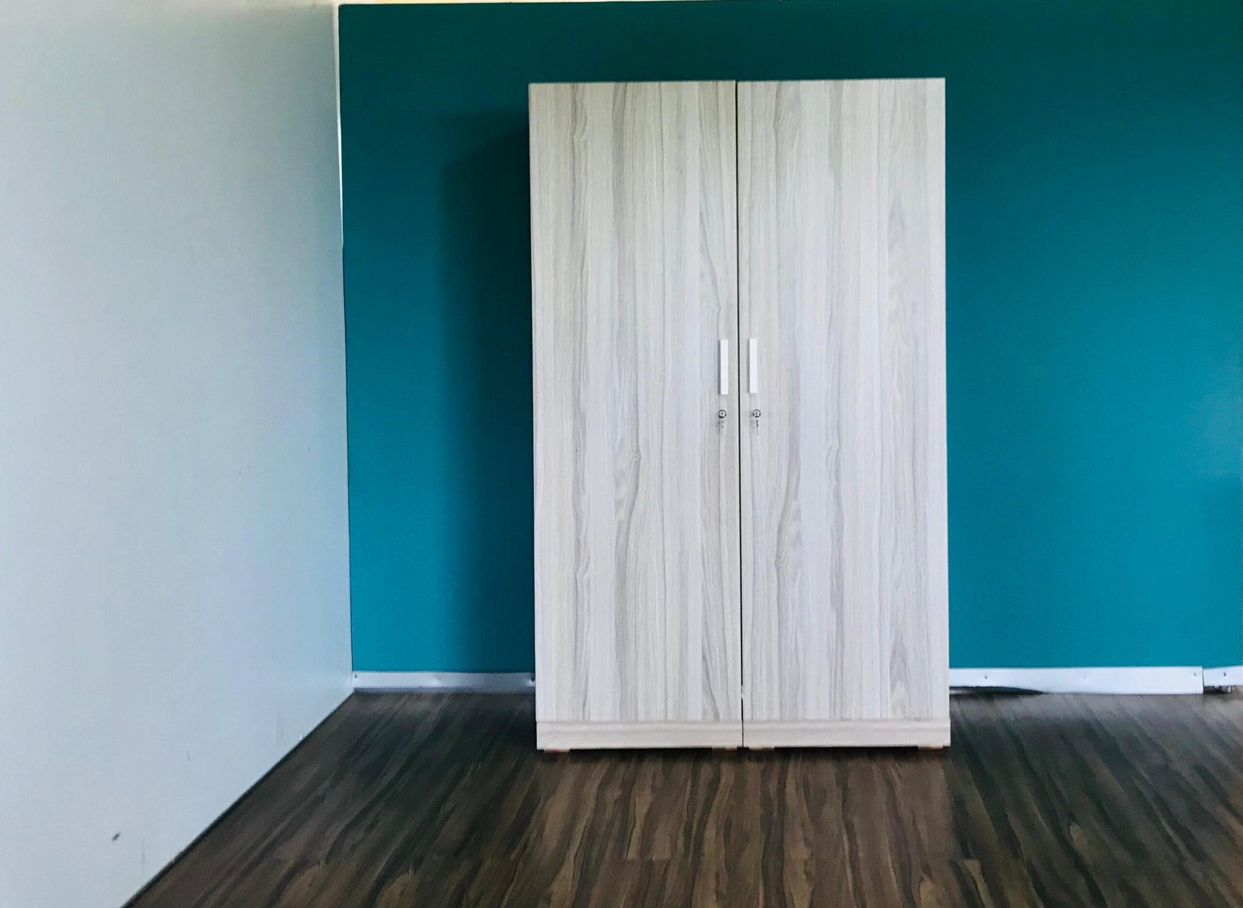 Aspen 2-Door Wardrobe - Image 2