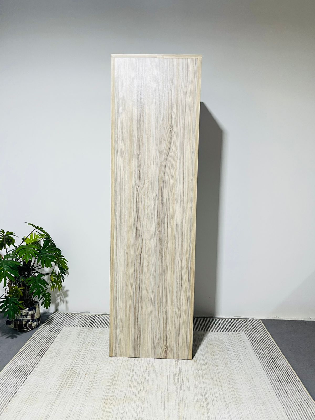 Upright Storage Cupboard - Image 13